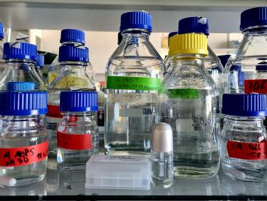 Lab flasks